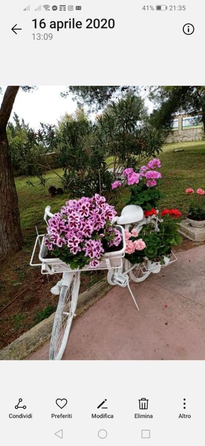 La Dimora Di Nonno Nuccio Hotel รากูซา ภายนอก รูปภาพ