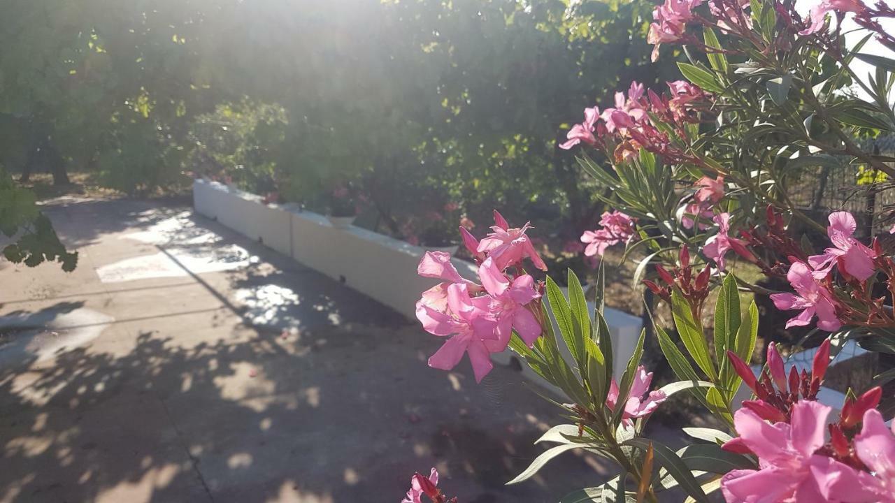 La Dimora Di Nonno Nuccio Hotel รากูซา ภายนอก รูปภาพ